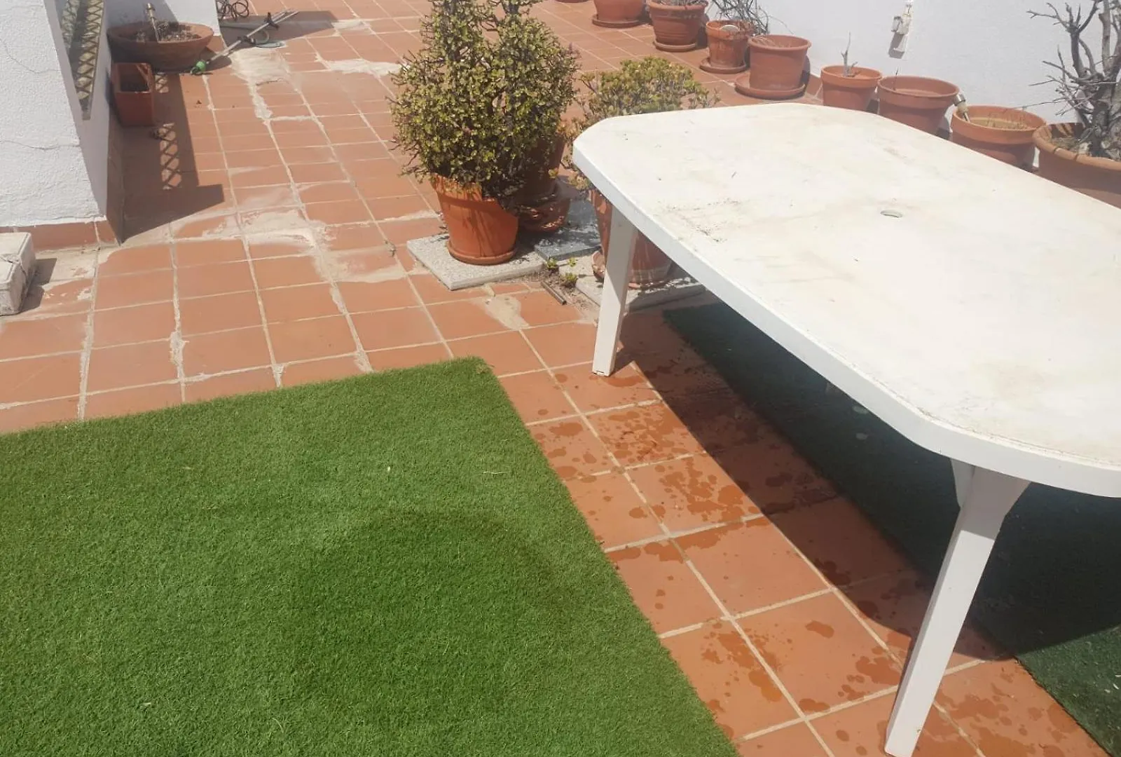 Lejlighed Bogavante Costa Ballena Rota