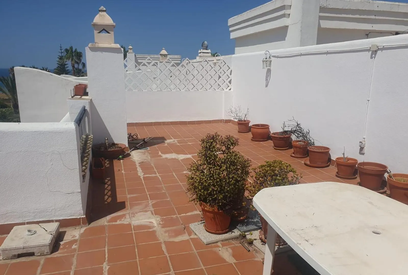 Bogavante Costa Ballena Rota España